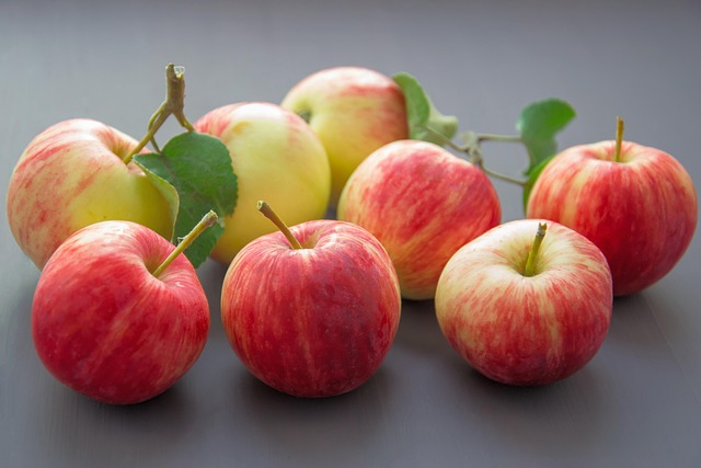 Malus dom. ´Royal Gala´ Podet på M26