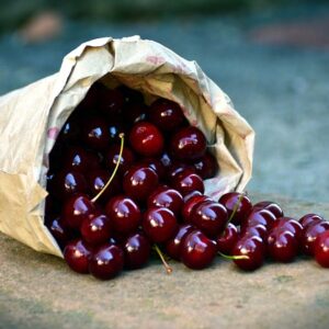 Prunus avi. ´Oktavia´ Podet med Alkavo