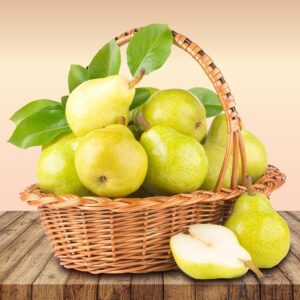 Pyrus com. ´Condo´ Podet på Pære A