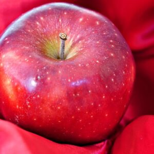 Malus dom. ´Florina´ Podet på M26