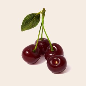 Prunus cer. ´Safir´
